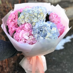 Букет из 7 колумбийских гортензий в Балашихе