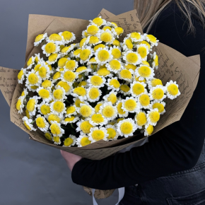 Букет "Моё солнышко" из 11 хризантем сантини  в Балашихе