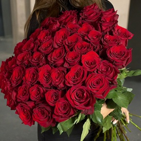 Букет 51 роза Эквадор Эксплорер (70 см) в Балашихе