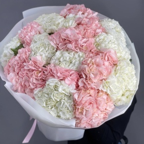 Букет из 23 гортензий  в Балашихе