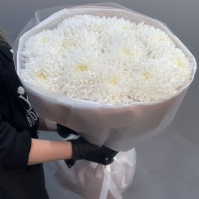 Букет из 11 белых хризантем  в Балашихе