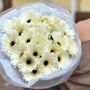 Букет из 21 герберы в Балашихе