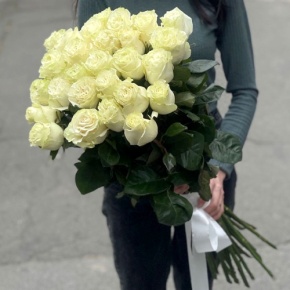 Монобукет из 25 роз Эквадор Мондиаль (80 см) в Балашихе