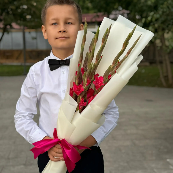 Букет на 1 сентября из 7 малиновых гладиолусов в Балашихе