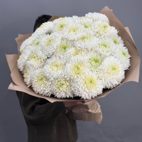 Букет из 27 хризантем Магнум в Балашихе