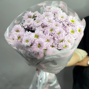 Букет "Нежный комплимент" из 9 кустовых хризантем в Балашихе