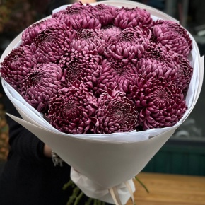 Букет 21 винной хризантемы Бигоуди в Балашихе