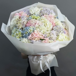 Букет из 23 гортензий микс в Балашихе