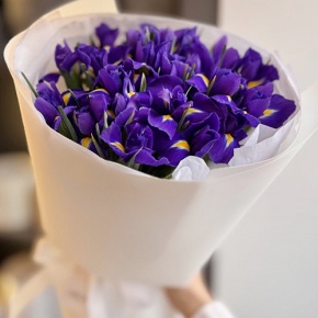 Букет из 21 ириса в Балашихе