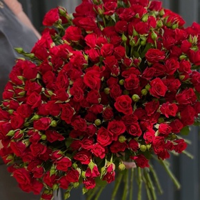 Букет из 31 кустовой розы (50 см) в Балашихе