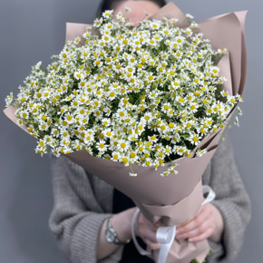 Букет из 17 полевых ромашек в Балашихе