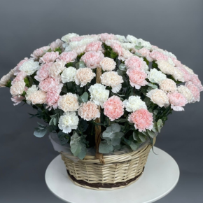 Композиция в корзине из 101 диантуса микс в Балашихе