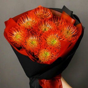 Букет из 9 лейко в Балашихе