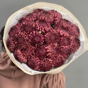 Букет 21 шоколадной хризантемы Бигоуди в Балашихе