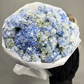 Букет из 23 синих гортензий в Балашихе