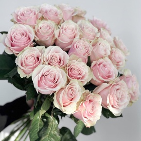 Букет 25 пудровых роз Эквадор Пинк Мондиаль (60 см) в Балашихе