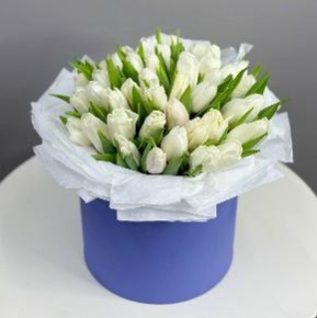 Букет из 49 белых тюльпанов в синей коробке в Балашихе