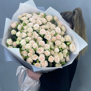 Букет из 25 кремовых кустовых роз (70 см) в Балашихе