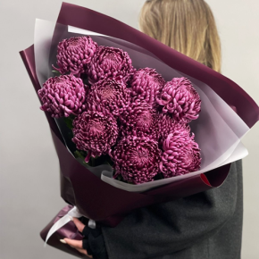 Букет "Изобилие" из 11 винных хризантем Бигоуди в Балашихе