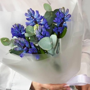 Букет "Мини" из 5 ароматных гиацинтов и эвкалипта в Балашихе
