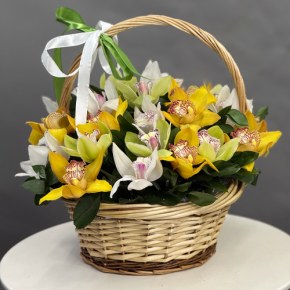 Композиция в корзине из 25 орхидей микс в Балашихе