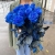 15 синих LUX роз Эквадор (70 см) в Балашихе 15 синих LUX роз Эквадор (70 см) в Балашихе
