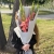Букет на 1 сентября из 5 розовых гладиолусов в Балашихе