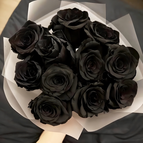 Букет "Черная королева" из 11 черных роз Эквадор (60 см) в Балашихе