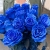 15 синих LUX роз Эквадор (70 см) в Балашихе 15 синих LUX роз Эквадор (70 см) в Балашихе