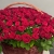 Композиция в корзине из 151 красной розы в Балашихе
