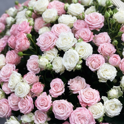 Композиция в корзине из 101 кустовой пионовидной розы в Балашихе