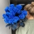 15 синих LUX роз Эквадор (70 см) в Балашихе 15 синих LUX роз Эквадор (70 см) в Балашихе