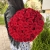 Букет 51 красной розы 50 см в Балашихе