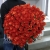 Букет 101 коралловая роза (60 см) в Балашихе