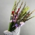 Букет из 25 гладиолусов микс в Балашихе