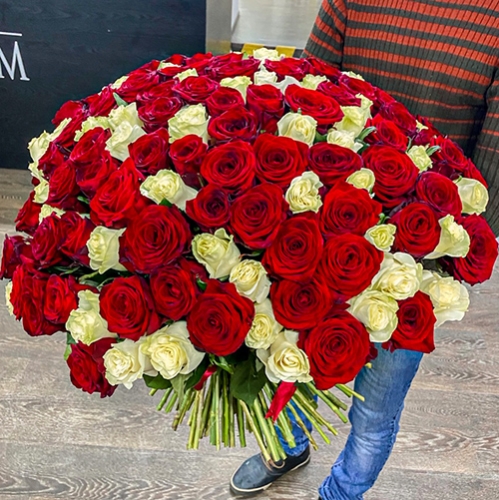 Букет 151 роза красный и белый микс (60 см) в Балашихе