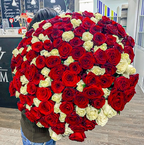 Букет 151 роза красный и белый микс (60 см) в Балашихе