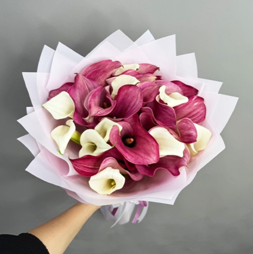 Букет из 25 нежных калл в Балашихе