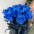 15 синих LUX роз Эквадор (70 см) в Балашихе 15 синих LUX роз Эквадор (70 см) в Балашихе