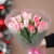 Букет "Фламинго" из 11 пионовидных тюльпанов в Балашихе