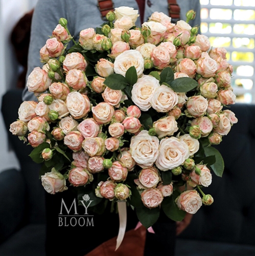 Букет 51 пионовидная роза Бомбастик (60 см) в Балашихе