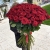 Букет из 101 красной розы (90 см) в Балашихе