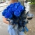 15 синих LUX роз Эквадор (70 см) в Балашихе 15 синих LUX роз Эквадор (70 см) в Балашихе