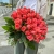Букет 51 роза коралл (60 см) в Балашихе